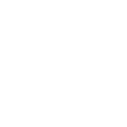 RBXSoft
